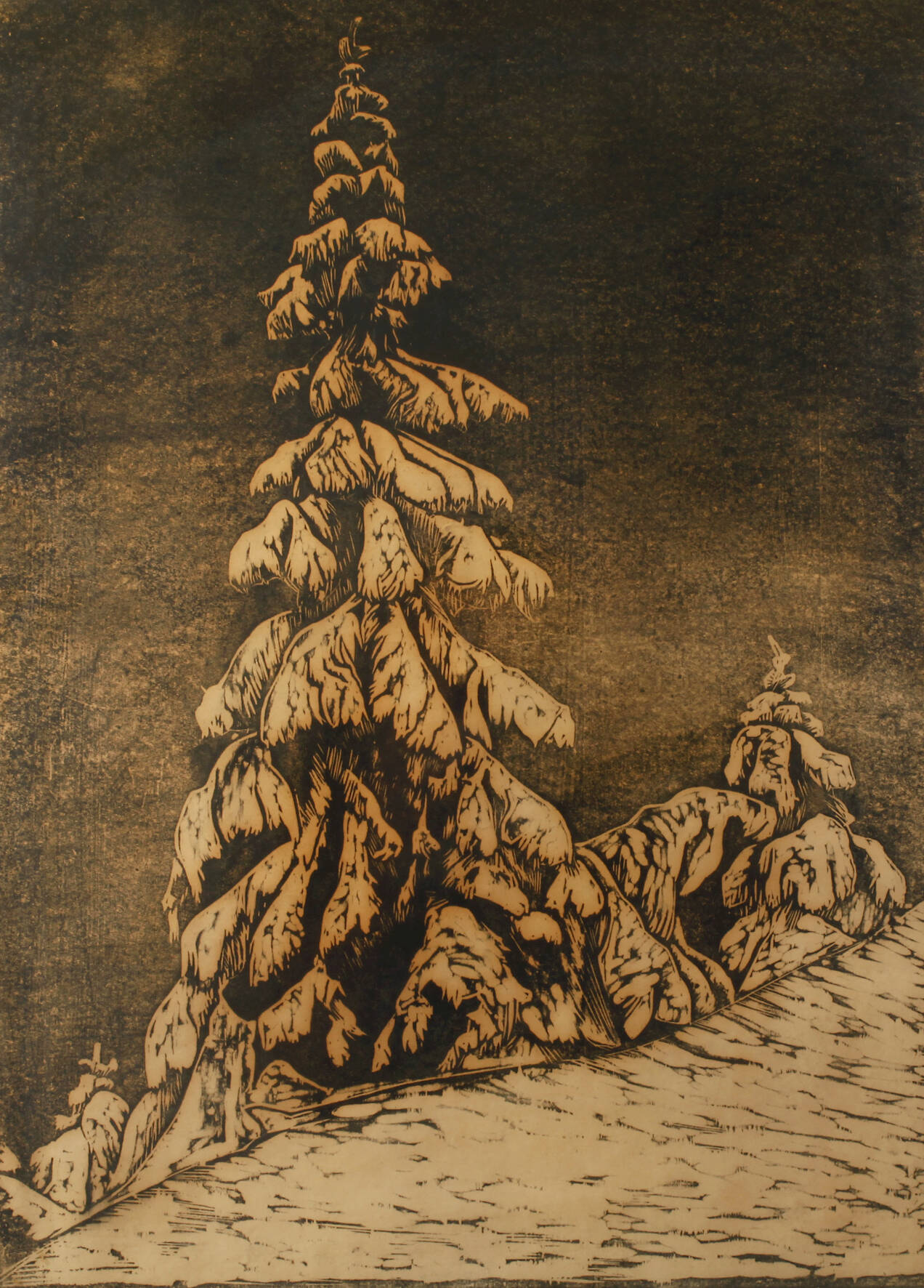 Ernst Precht, "Tanne im Schnee"