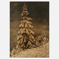 Ernst Precht, "Tanne im Schnee"111