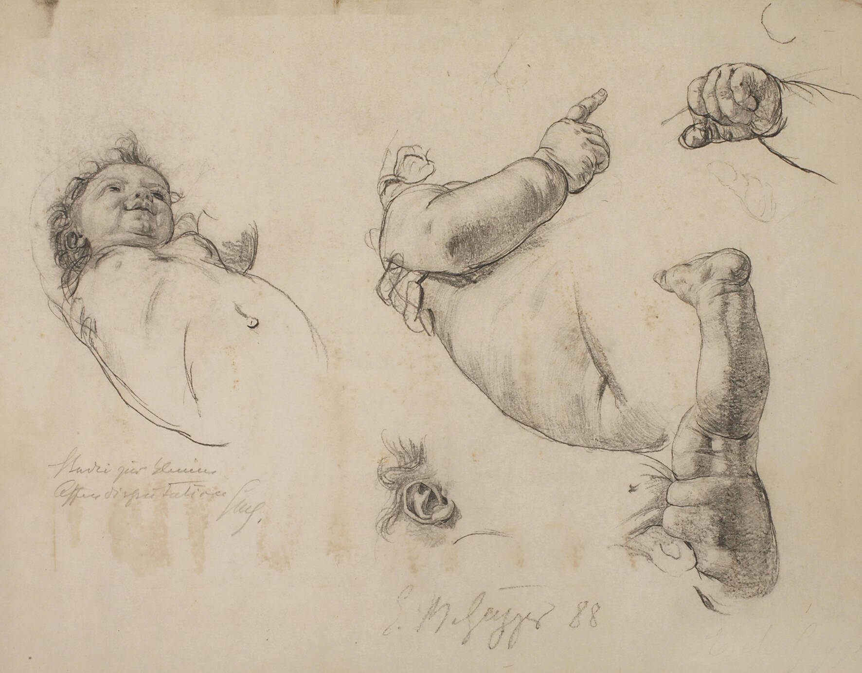 Prof. Ernst Moritz Geyger, Studienblatt