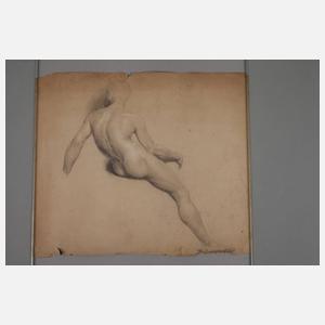 Männlicher Rückenakt