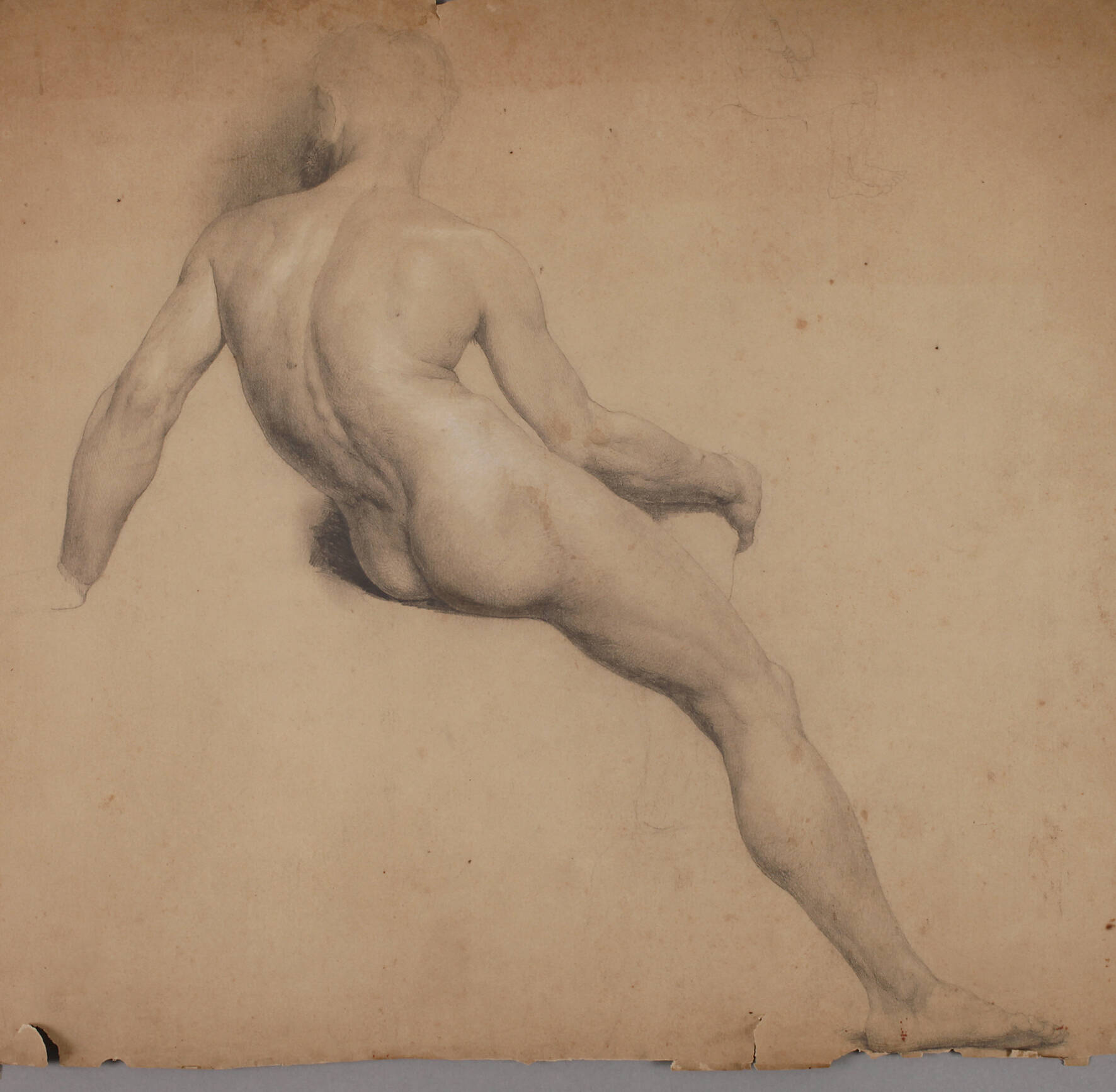 Männlicher Rückenakt