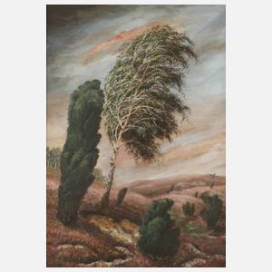 E. M. Backes, Sturm in der Heide