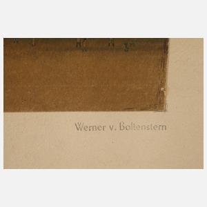 Werner von Boltenstern, Dorf mit Pferdekoppel