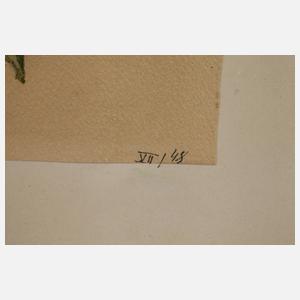 Gustav Feith, Nelkenstillleben