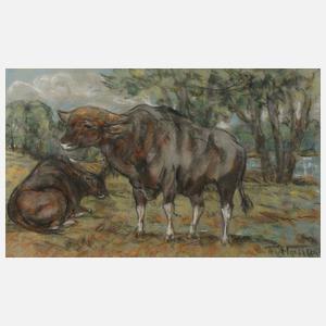 Fritz von Heider, Paar Rinder