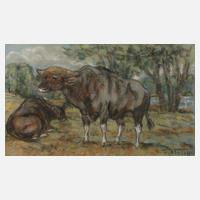 Fritz von Heider, Paar Rinder111