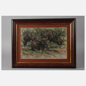 Fritz von Heider, Wasserbüffel