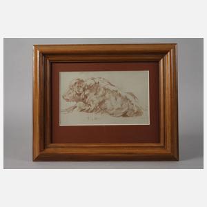 Fritz von Heider, Wisent