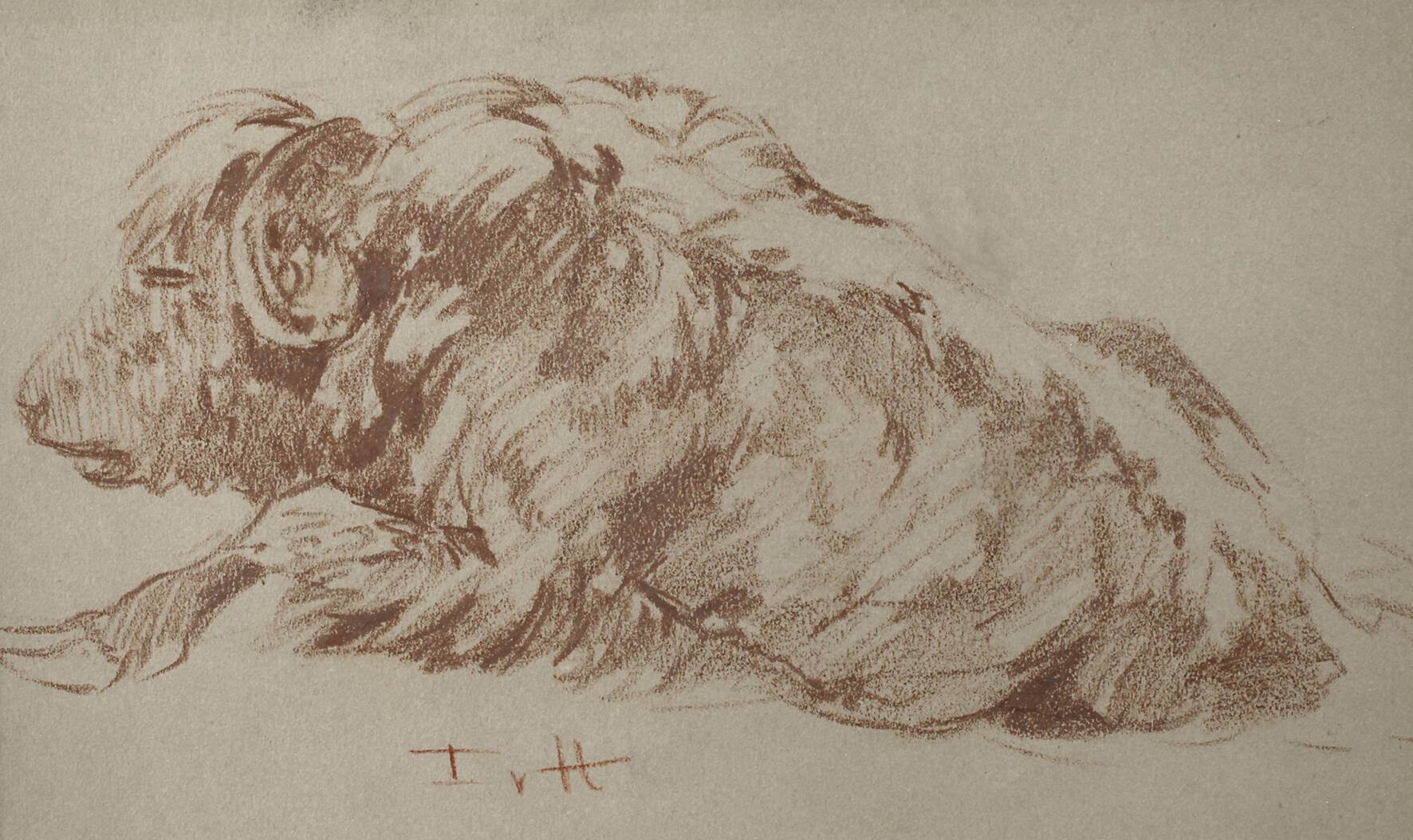 Fritz von Heider, Wisent