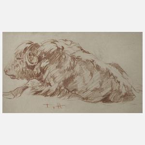 Fritz von Heider, Wisent