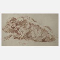 Fritz von Heider, Wisent111