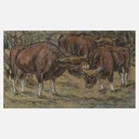 Fritz von Heider, Rinder111