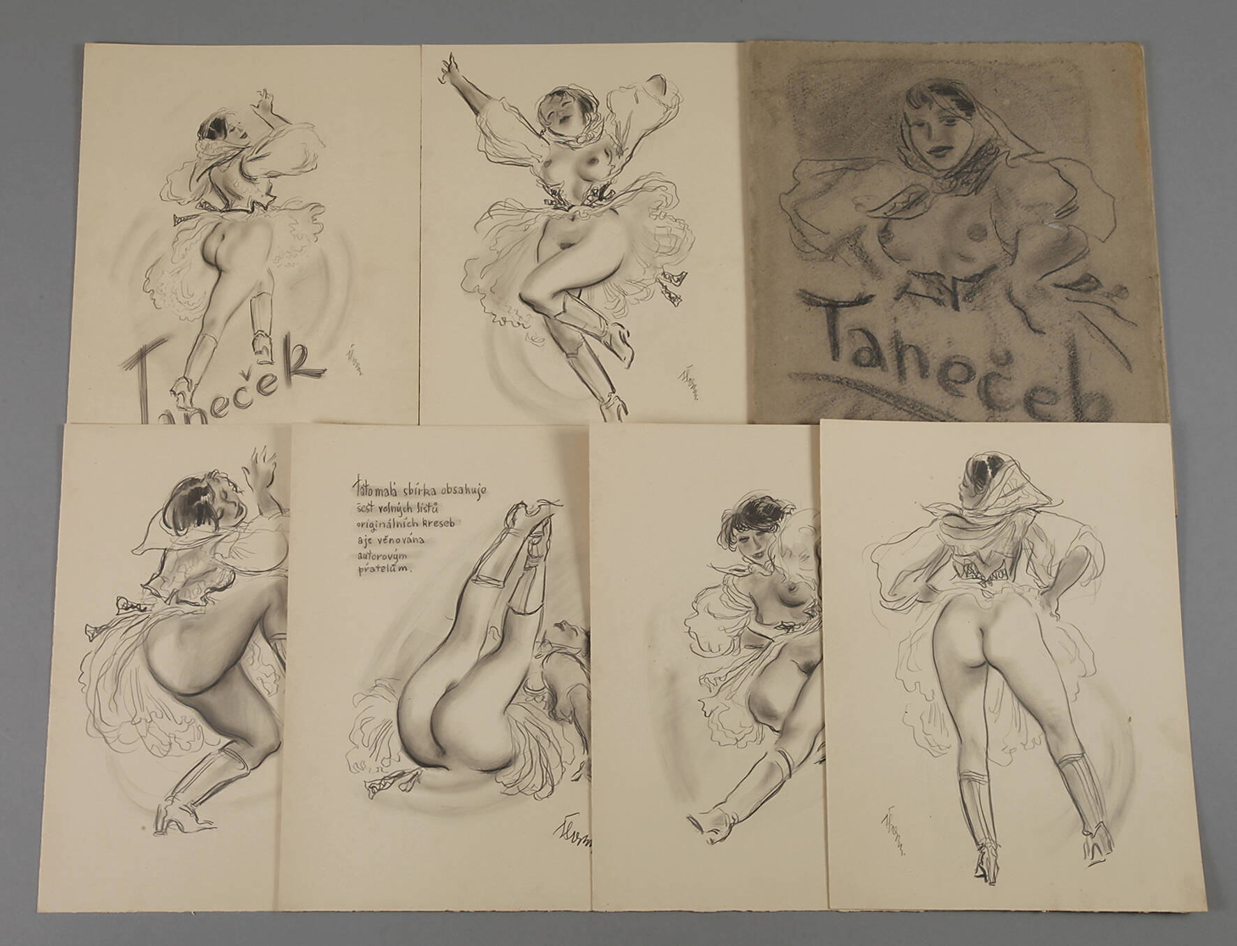 Erotische Zeichnungsmappe „Tanecek“