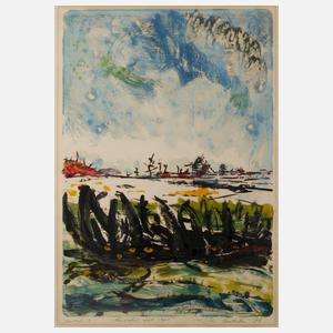 "Landschaft mit Wrack"