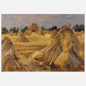 Rolf Andiel, Erntelandschaft