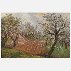 Richard Burkhardt-Untermhaus, "Kirschblüte"