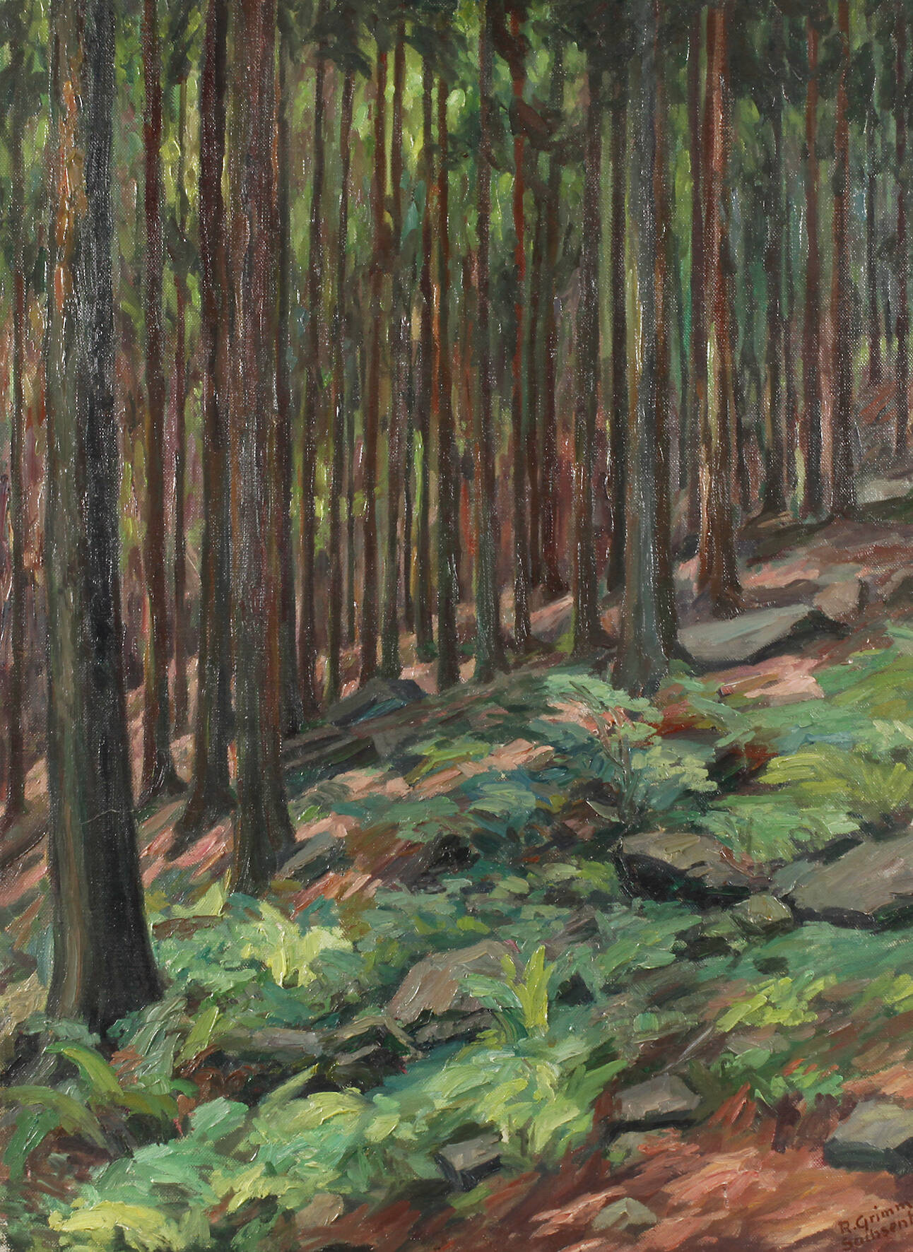 Richard Grimm-Sachsenberg, Fichtenwaldinneres