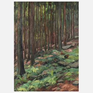 Richard Grimm-Sachsenberg, Fichtenwaldinneres