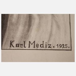 Karl Mediz, Herrenportrait