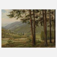 Friedrich Reimann, Mühle im Tal111