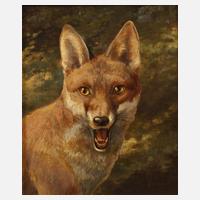 Friedrich Reimann, Fuchsportrait111