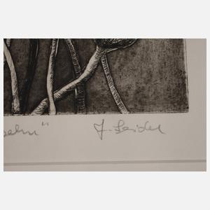 Jürgen Seidel, "Mohnkapseln"