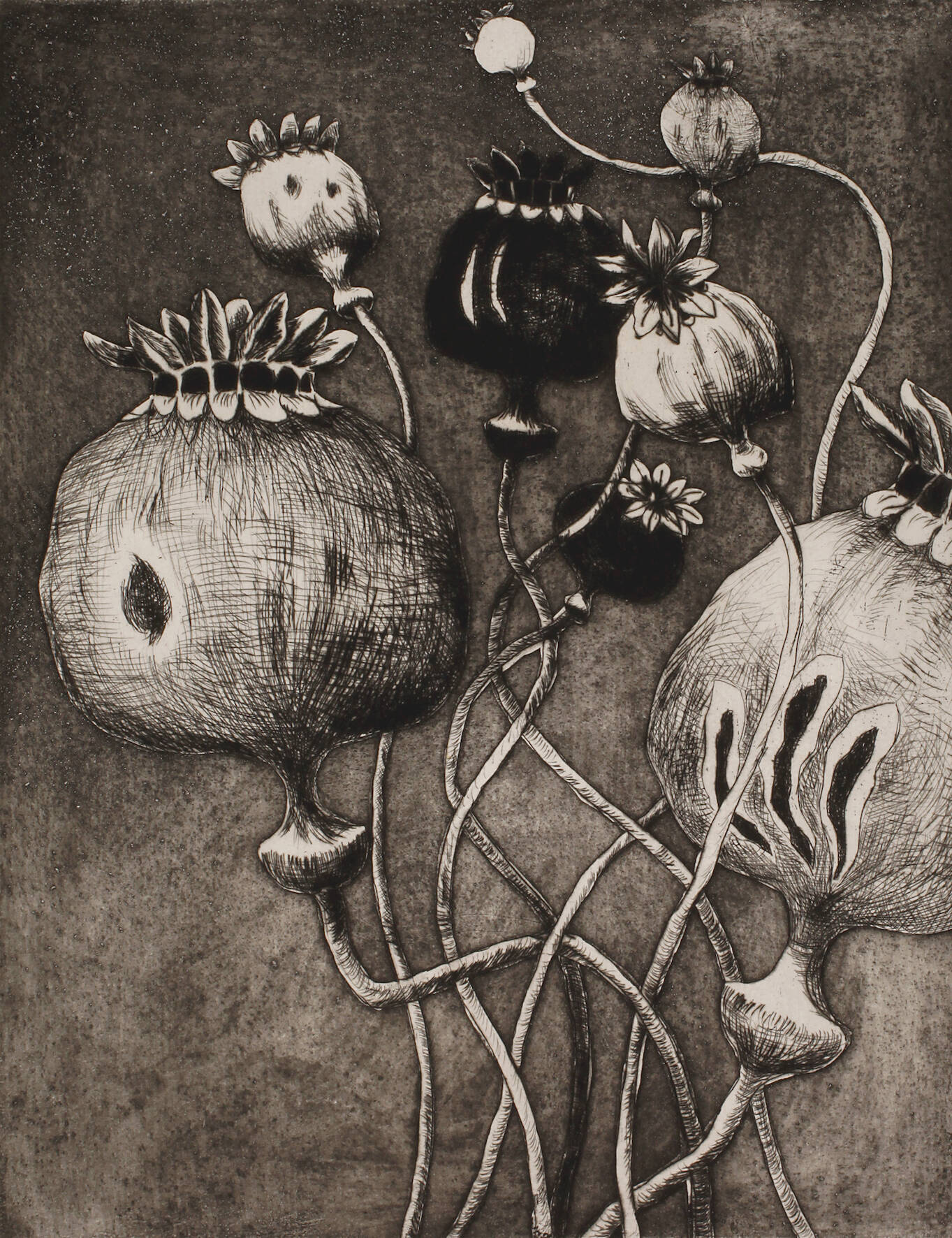 Jürgen Seidel, "Mohnkapseln"