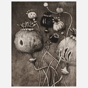 Jürgen Seidel, "Mohnkapseln"