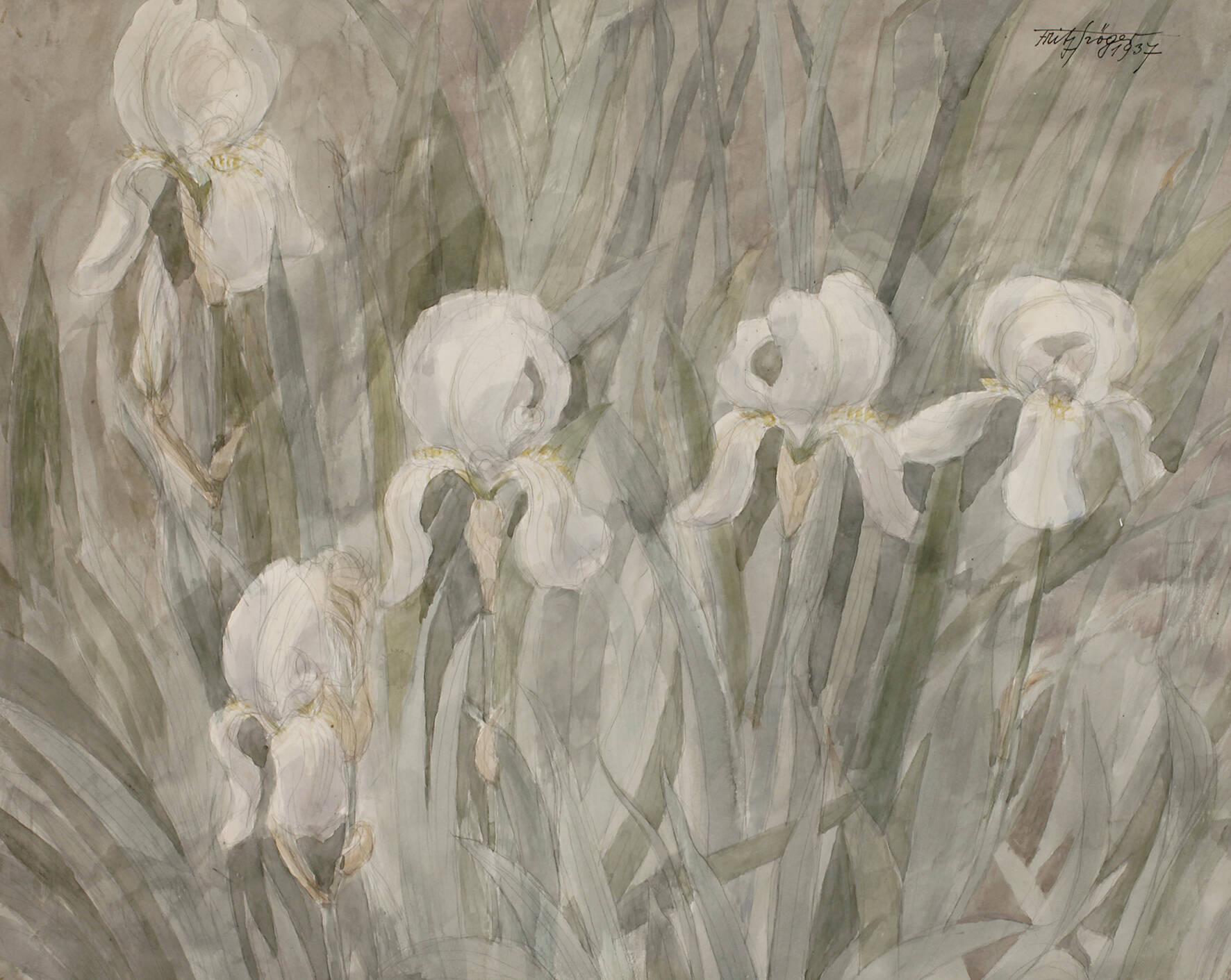 Fritz Tröger, Schwertlilien