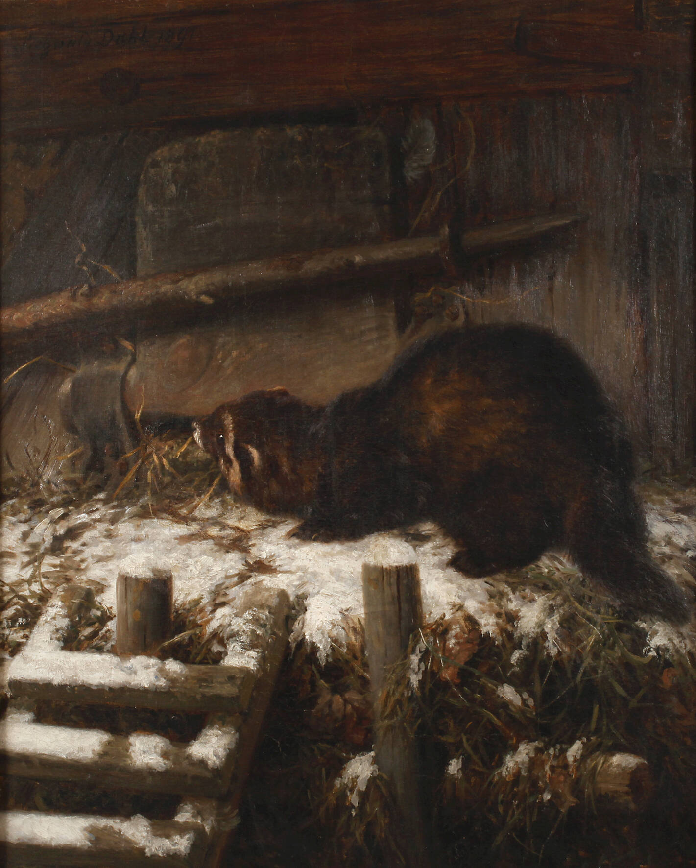 Siegwald Dahl, Iltis am Hühnerstall