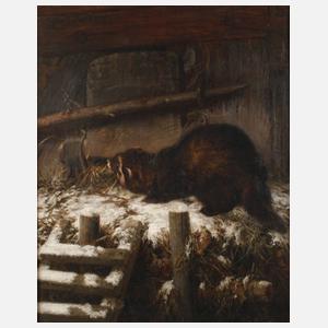 Siegwald Dahl, Iltis am Hühnerstall