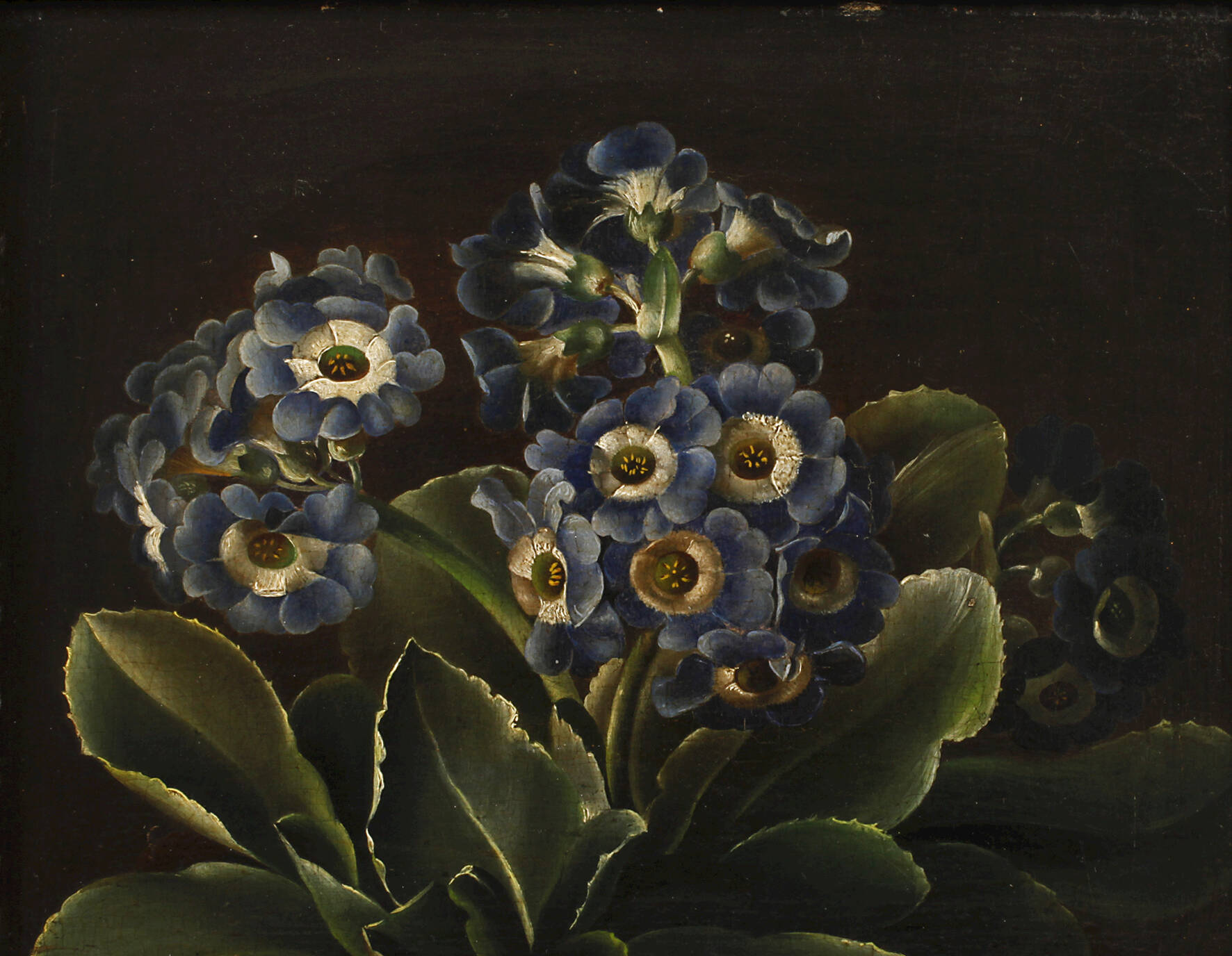 Prof. Johan Laurentz Jensen, attr., Blumenstillleben