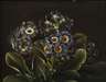 Prof. Johan Laurentz Jensen, attr., Blumenstillleben
