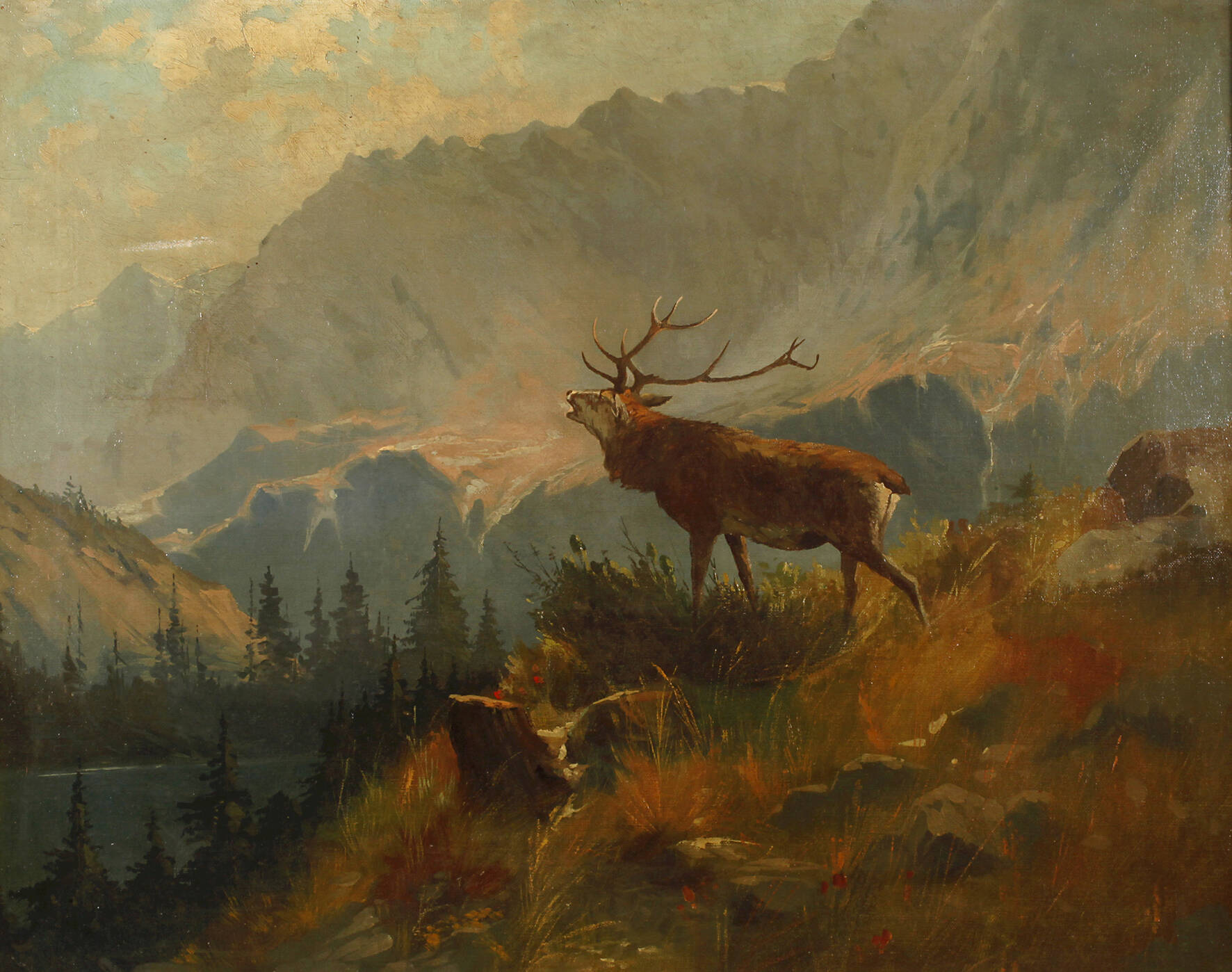 Röhrender Hirsch im Gebirge