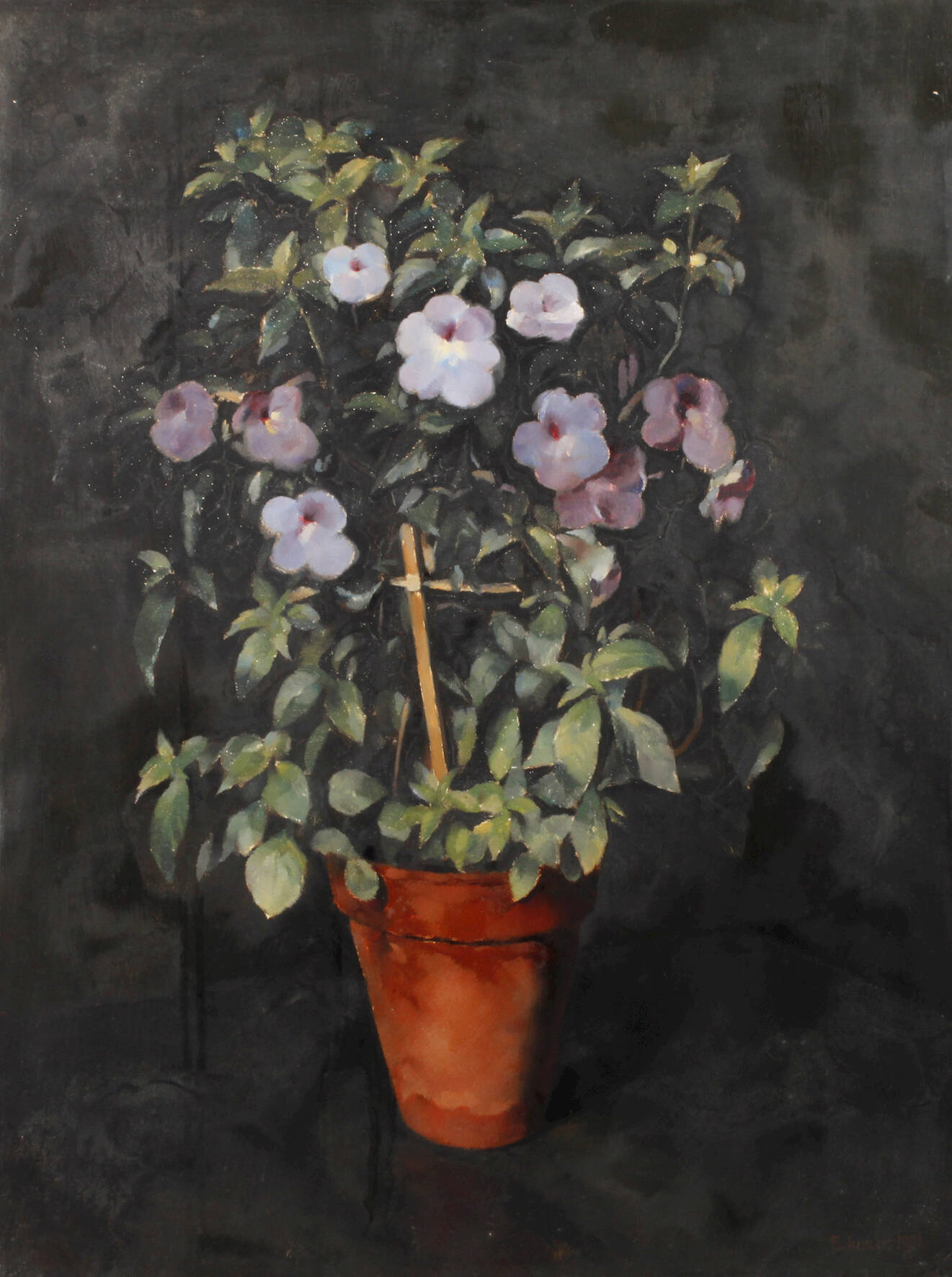 Franz Aumer, Blumenstillleben