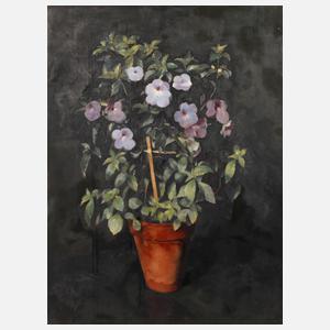 Franz Aumer, Blumenstillleben