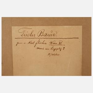 Karl Flieher, "Tiroler Bauer"