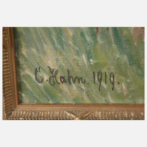 C. Hahn, Sitzender Junge