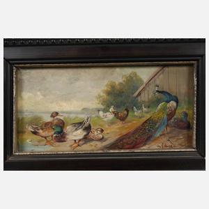 Max Hänger senior, Geflügelbild