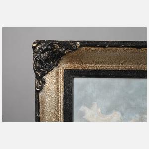 Prof. Franz Kienmayer, Schneeschuhfahrer im Gebirge