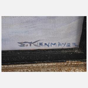 Prof. Franz Kienmayer, Schneeschuhfahrer im Gebirge