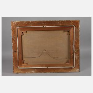 Prof. Franz Kienmayer, Schneeschuhfahrer im Gebirge