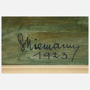 Dr. phil. Gottfried Niemann, Blick zur Alpspitze und zum Waxenstein