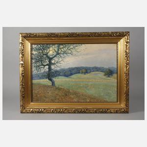 A. Rasmussen, Weite Wiesenlandschaft mit Baum