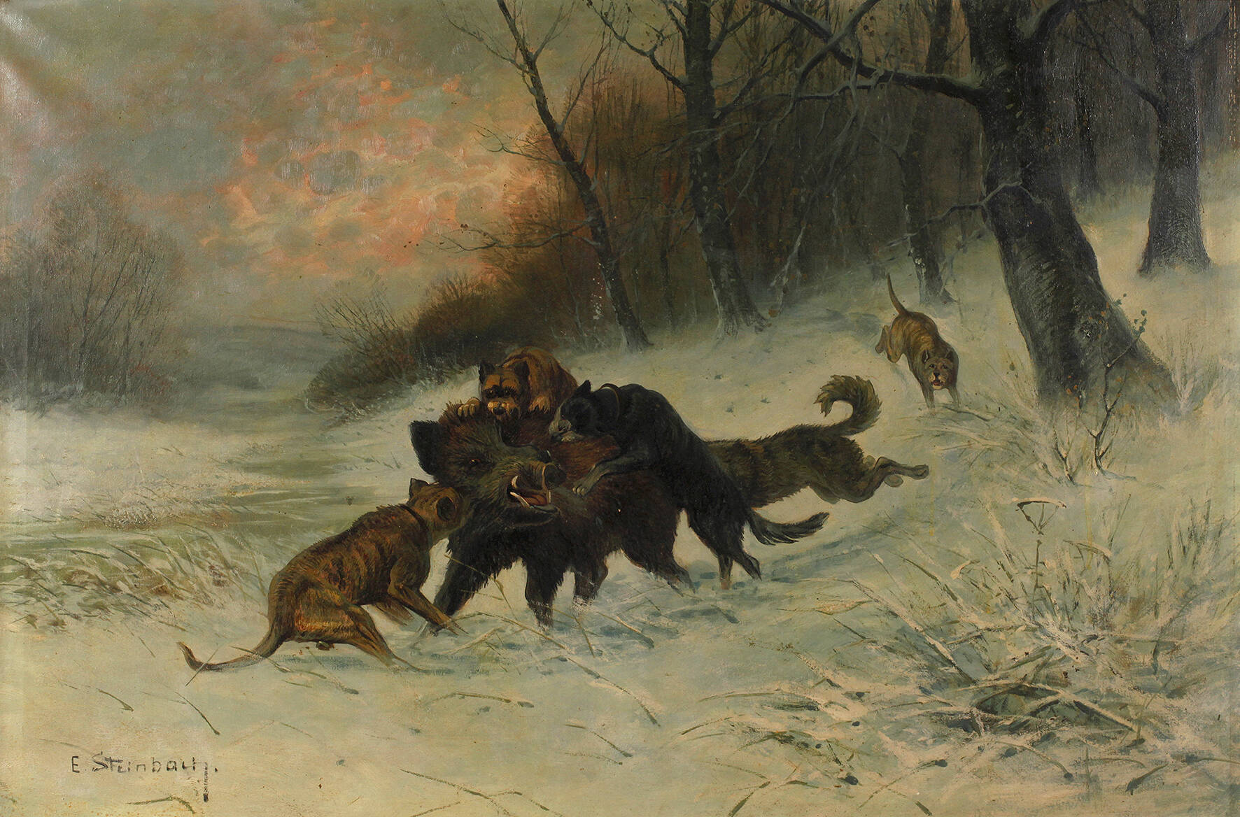 Eduard Steinbach, Eberjagd