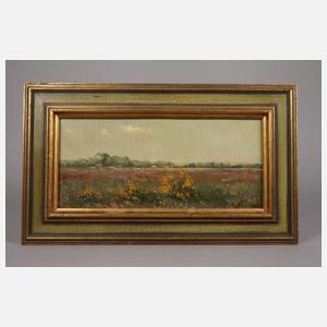 Willem Johannes Weissenbruch, Sommerlandschaft