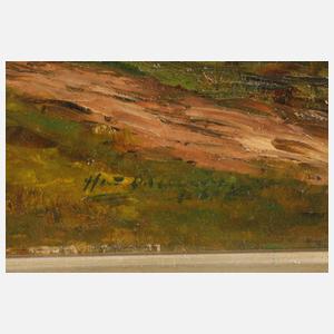 Bauernhaus in Hochgebirgslandschaft