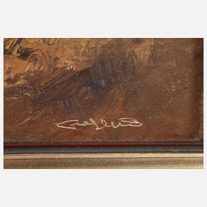 Am sonnigen Waldrand