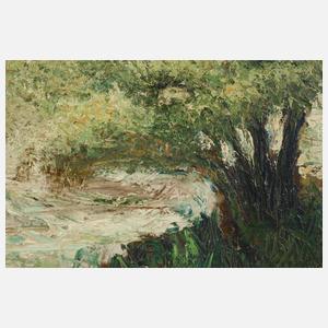 Sommerliche Seeuferszene