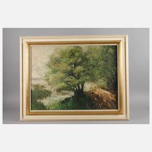 Sommerliche Seeuferszene